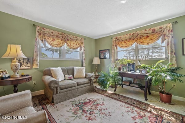 carpeted living room featuring plenty of natural light