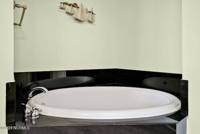 bathroom featuring a bathing tub