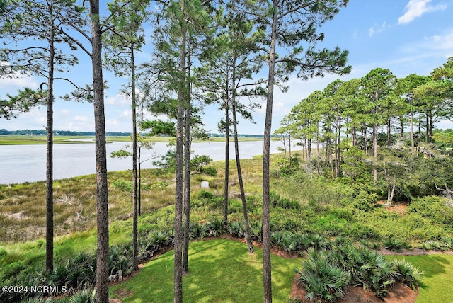 view of yard featuring a water view