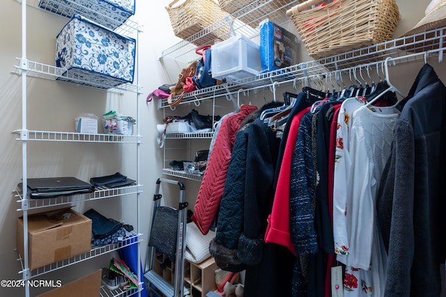 view of spacious closet