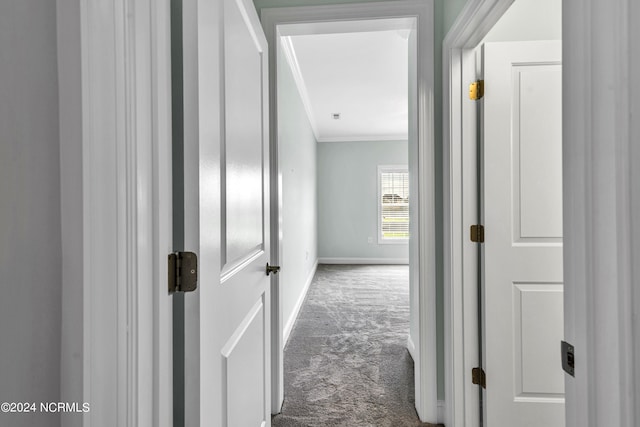 hallway with carpet floors and crown molding