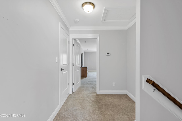 corridor featuring light colored carpet and ornamental molding