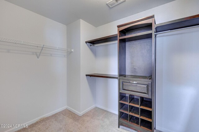 spacious closet featuring light colored carpet