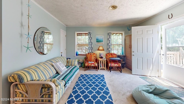 living room with crown molding, carpet, and a textured ceiling