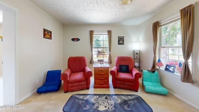 living area with crown molding, carpet, and a textured ceiling