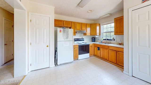 kitchen featuring crown molding, sink, and white appliances