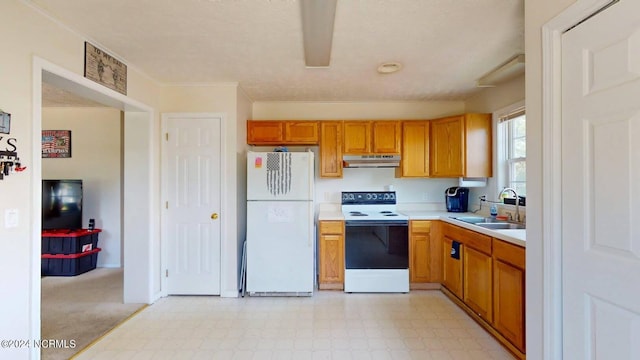 kitchen with white refrigerator, ornamental molding, sink, and electric range