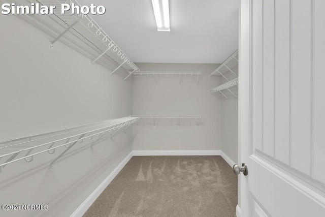 carpeted spare room featuring crown molding and a tray ceiling