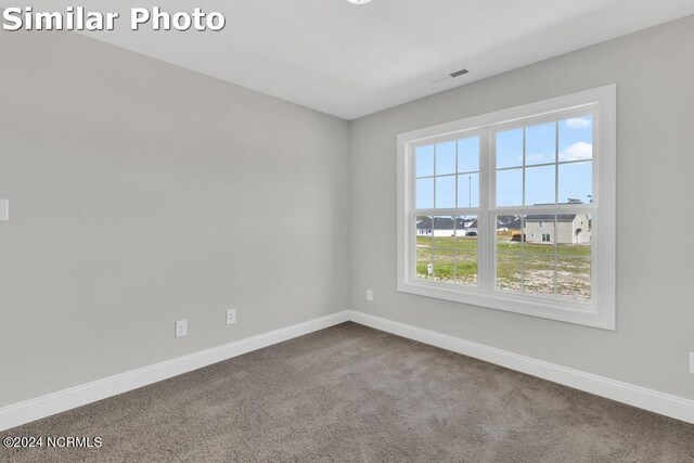 walk in closet featuring carpet flooring