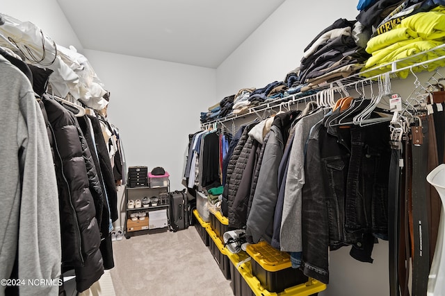 walk in closet with carpet flooring