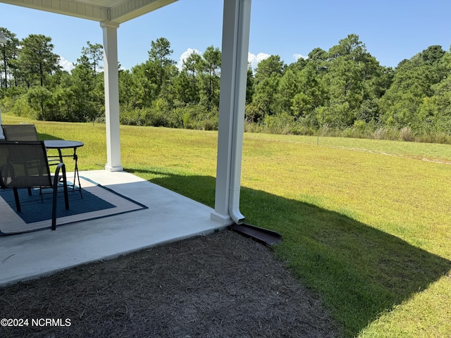 view of yard featuring a patio area