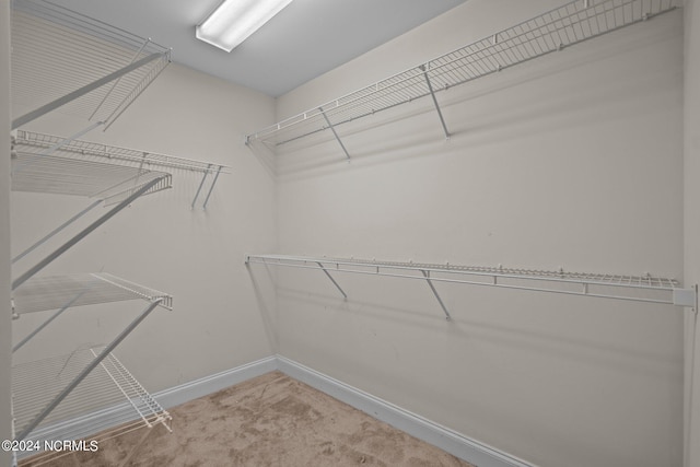 walk in closet featuring carpet flooring