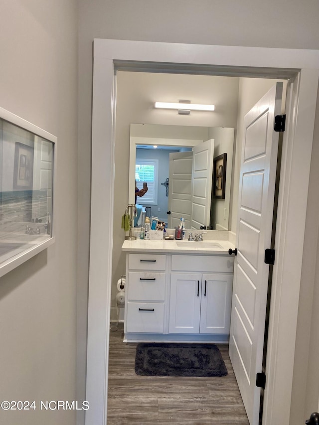 bathroom featuring wood-type flooring and vanity