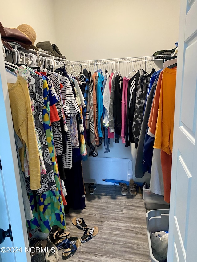 spacious closet with wood-type flooring