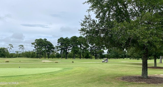 view of community with a yard