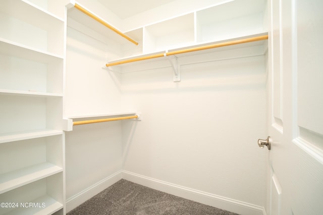 spacious closet with carpet floors