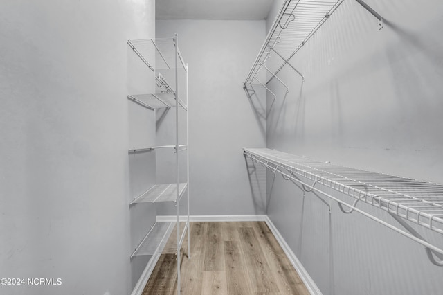 walk in closet with light wood-type flooring