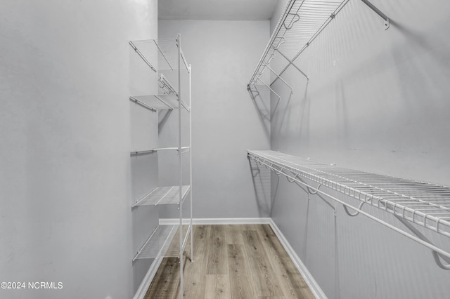 walk in closet with light wood-type flooring