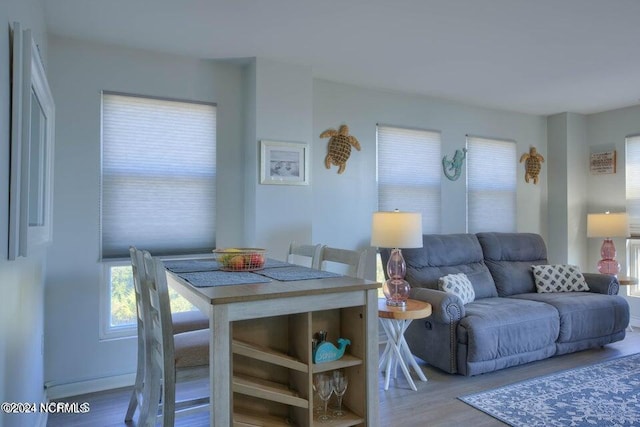 living room with hardwood / wood-style flooring