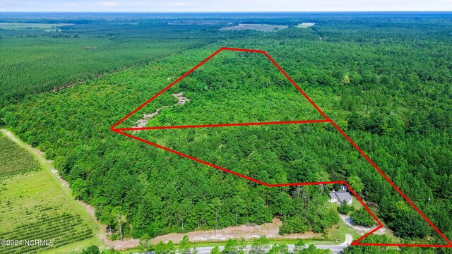 1 Lizzie Henry Rd, Ivanhoe NC, 28447 land for sale