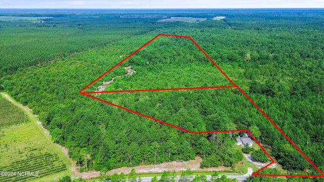 1 Lizzie Henry Rd, Ivanhoe NC, 28447 land for sale