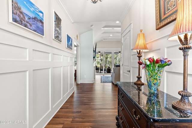 corridor featuring ornamental molding and dark hardwood / wood-style floors