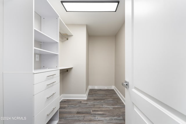 walk in closet featuring dark hardwood / wood-style floors