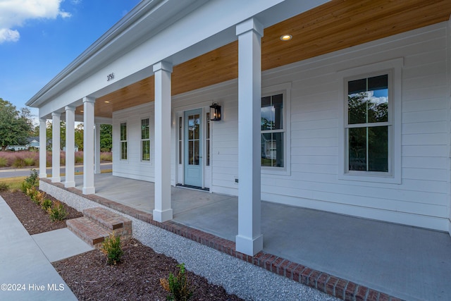 view of patio / terrace with a porch