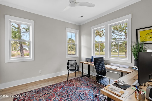 office area featuring baseboards, visible vents, a ceiling fan, wood finished floors, and crown molding