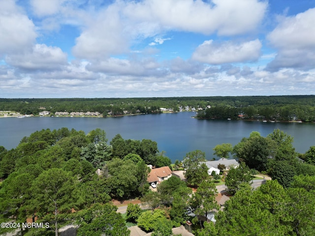 drone / aerial view with a water view and a view of trees