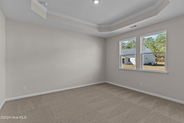 spare room featuring carpet floors, a tray ceiling, and crown molding