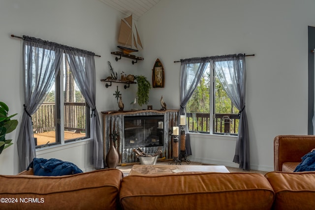 living room with vaulted ceiling