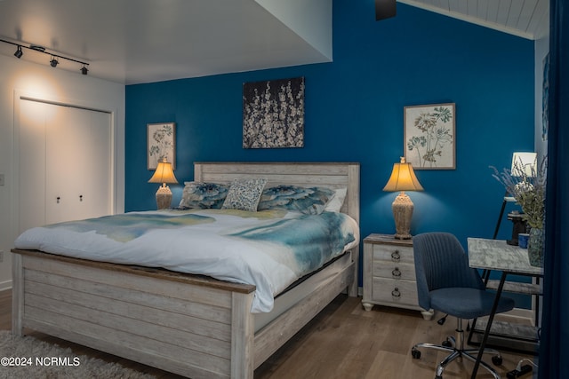 bedroom featuring a closet and wood-type flooring