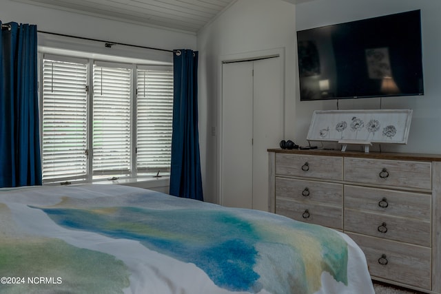 bedroom featuring multiple windows, vaulted ceiling, and a closet