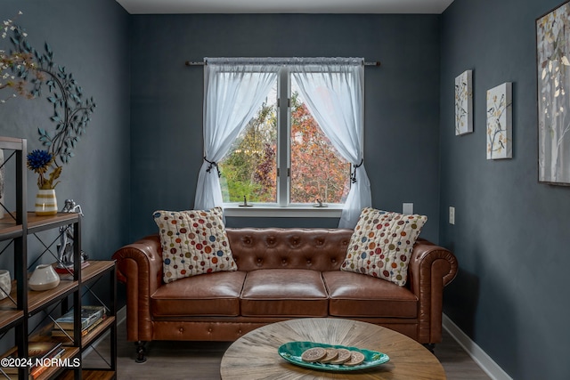 sitting room with wood-type flooring