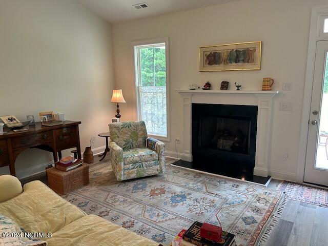 living room with wood-type flooring