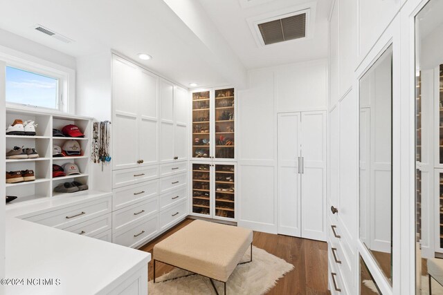 walk in closet with dark wood-type flooring