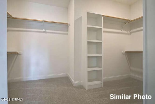 walk in closet with carpet flooring