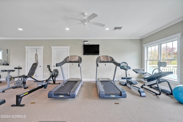 gym featuring carpet floors, ceiling fan, and ornamental molding