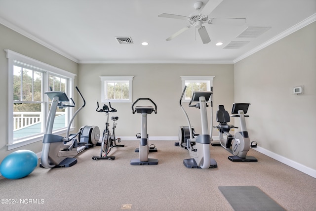 exercise room featuring carpet flooring, crown molding, plenty of natural light, and ceiling fan