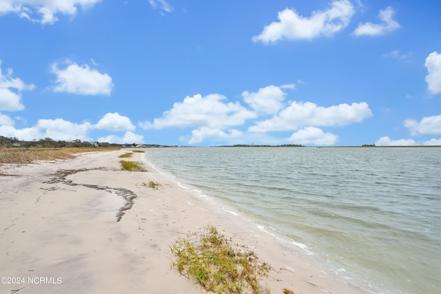 water view featuring a beach view