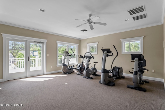 exercise area featuring carpet, ceiling fan, and crown molding