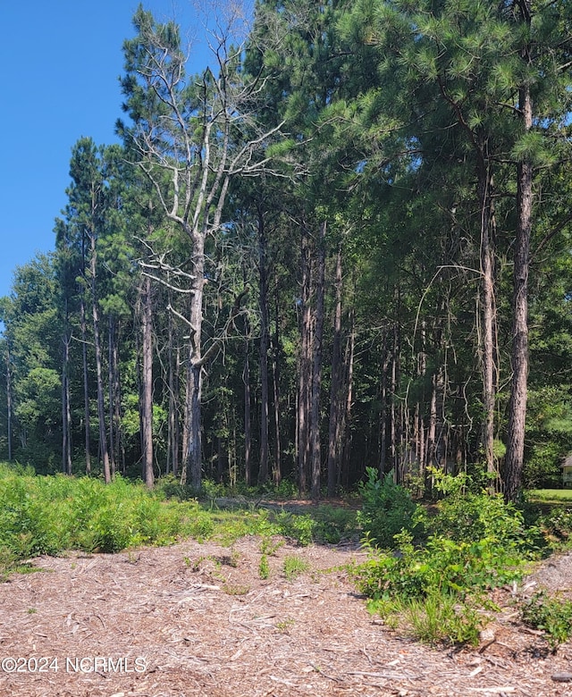 4 R And T Ln SE, Bolivia NC, 28422 land for sale