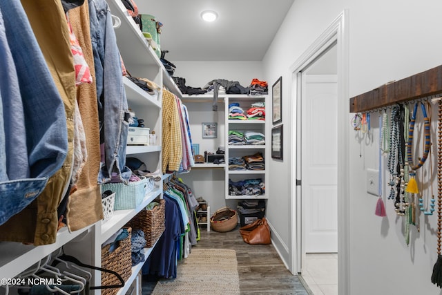 spacious closet with hardwood / wood-style flooring