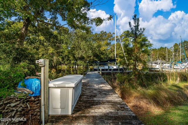 dock area featuring a water view