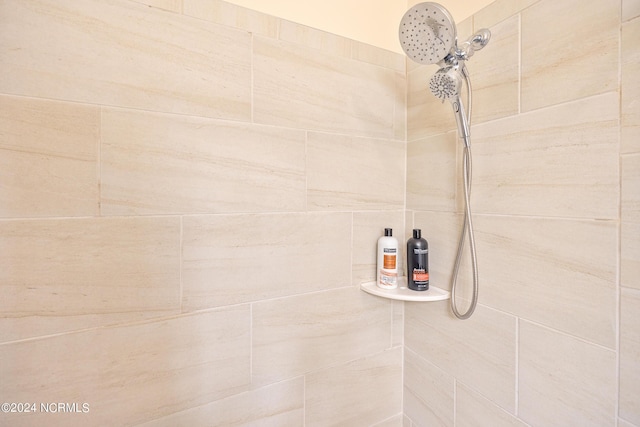 room details with tiled shower