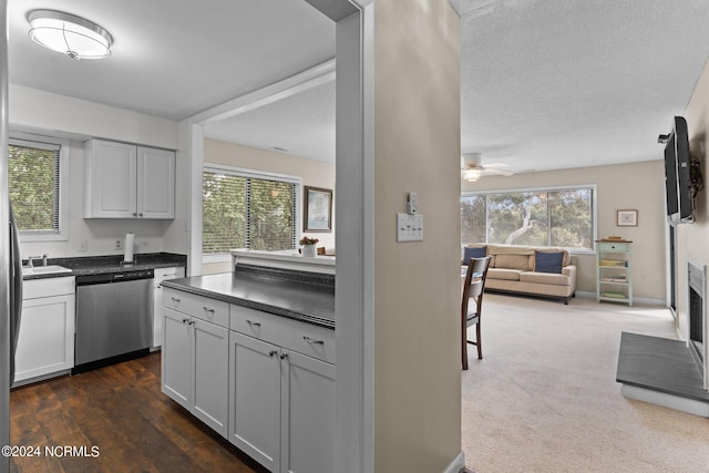 kitchen featuring dark countertops, a healthy amount of sunlight, a fireplace, and stainless steel dishwasher