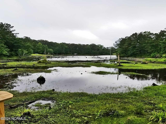 water view with a forest view