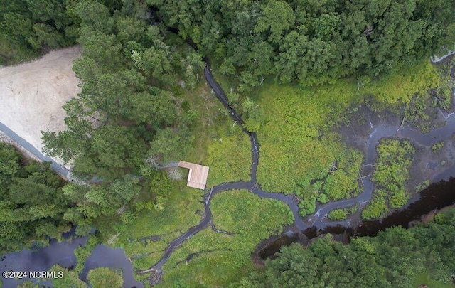 bird's eye view with a forest view