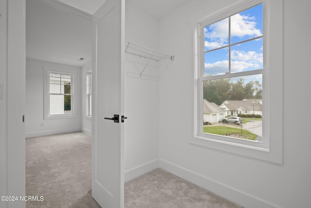 walk in closet featuring light colored carpet